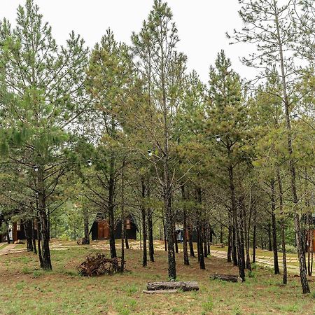 Chales Naturale - Campos Do Jordao - Cna Экстерьер фото