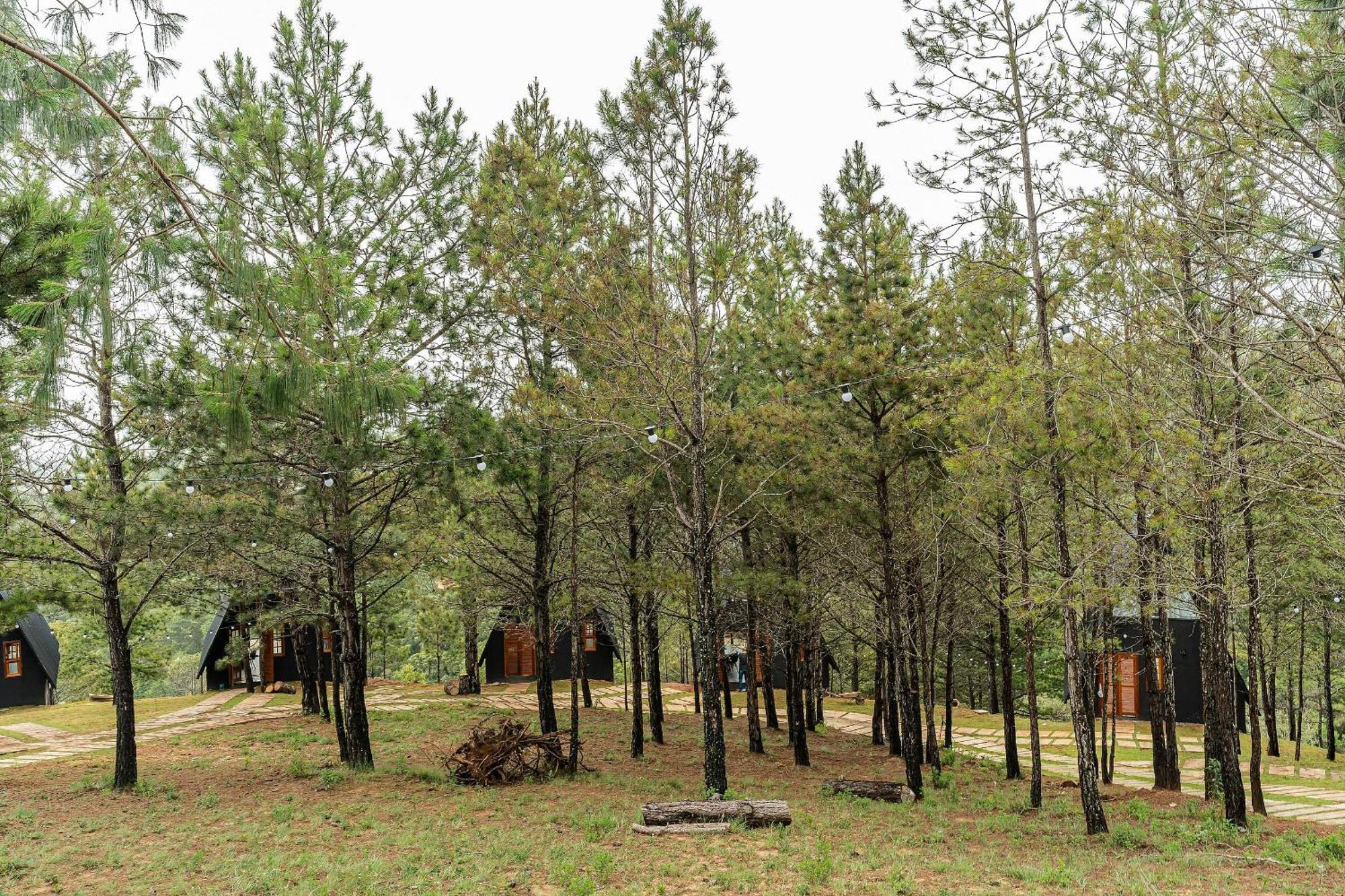 Chales Naturale - Campos Do Jordao - Cna Экстерьер фото